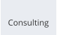 Consulting