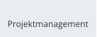 Projektmanagement