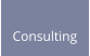 Consulting