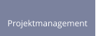 Projektmanagement